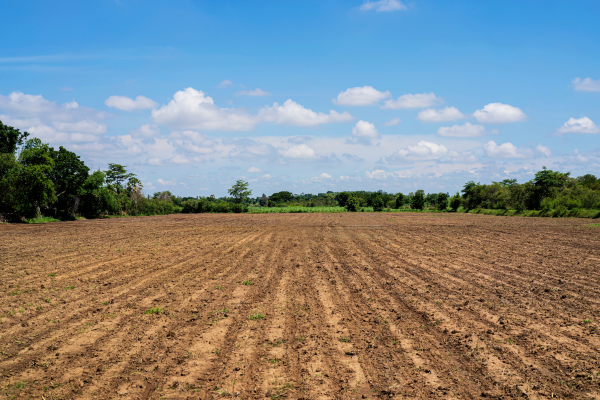open field of dirt